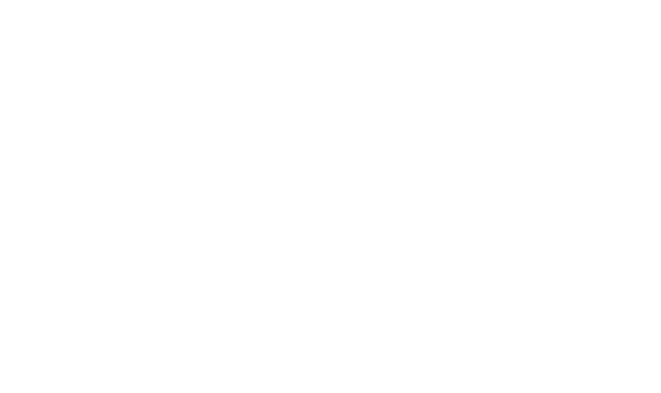 62369303 62369303
