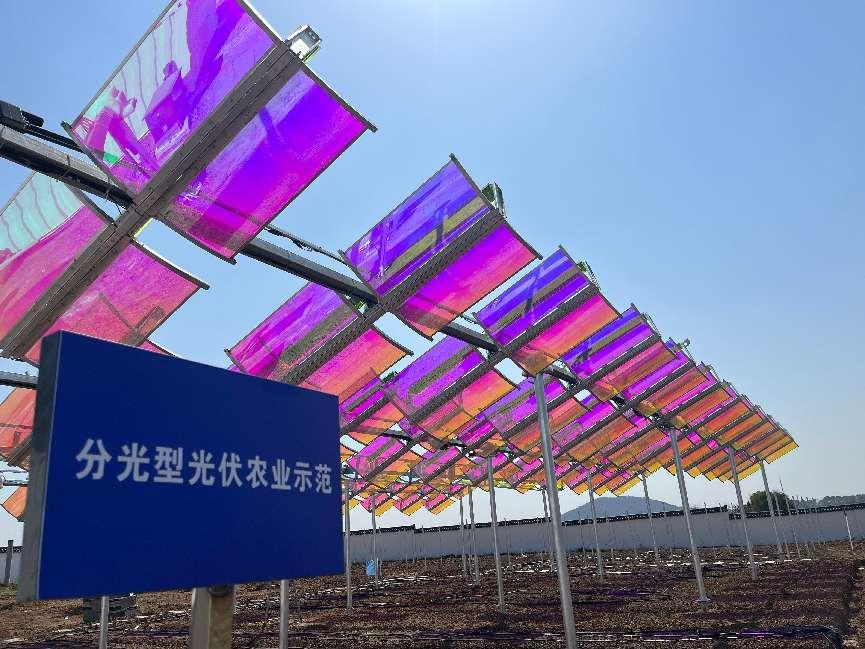 向阳而生，与光共舞——高资100MW光伏项目破土成章，匀光分光间书写"双碳"诗行